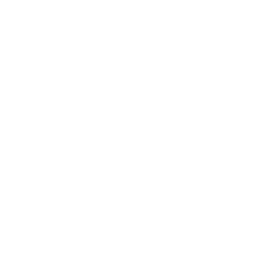Ikon Institusi